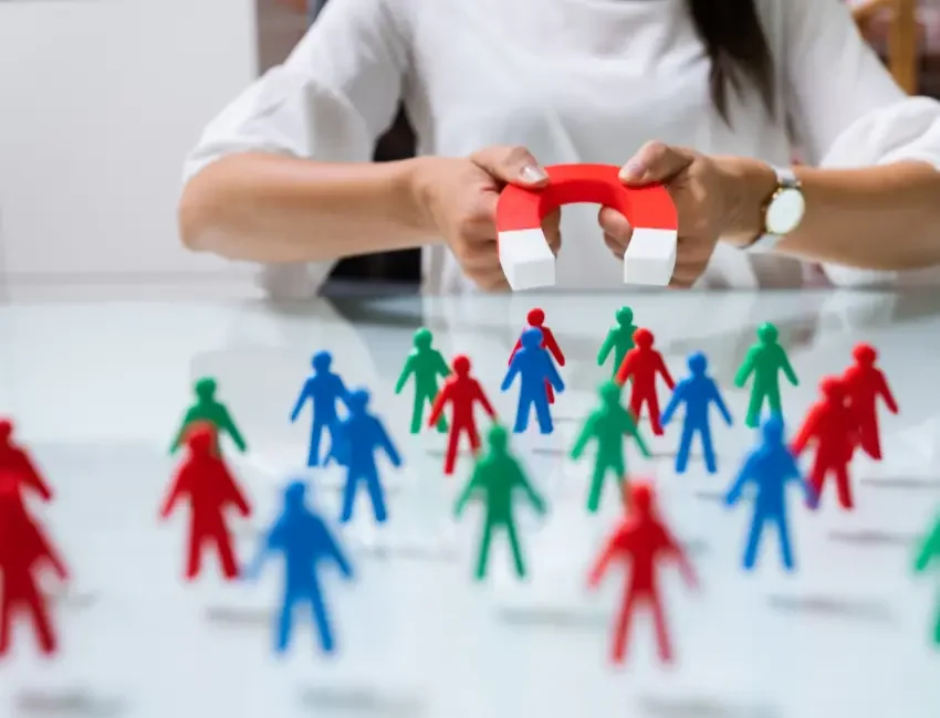 Whaqt is PPL 850 x 650