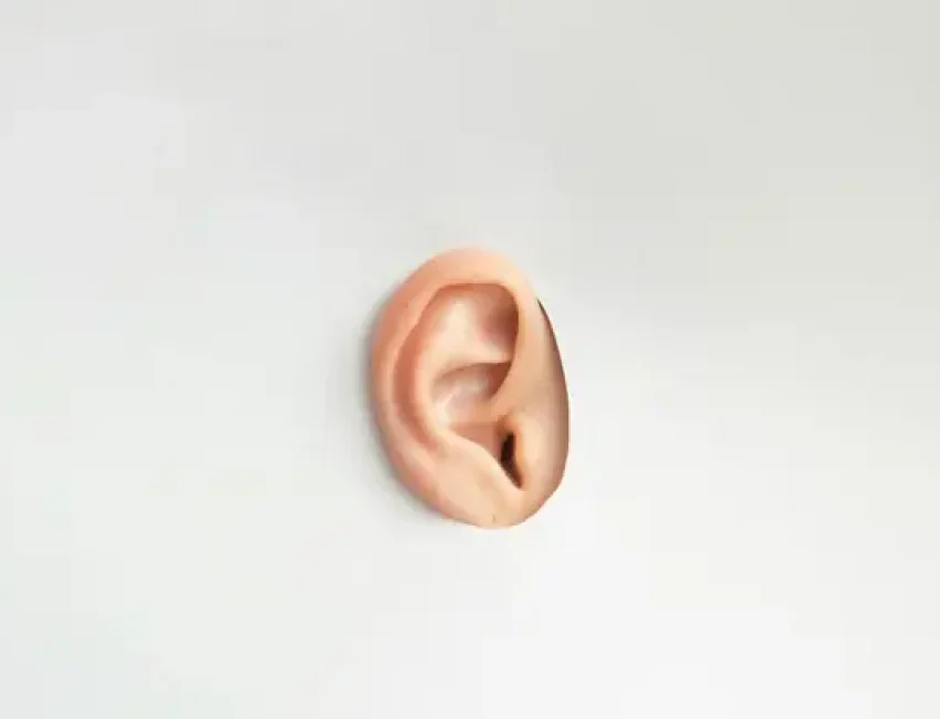 ear